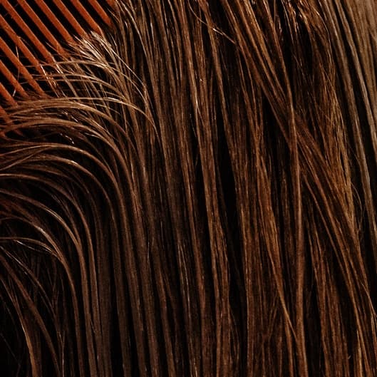 Silk Press Package at Gabianna's Hair Studio LLC in Freeport, NY